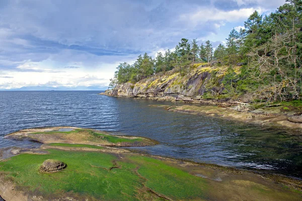 Boğazı Georgia Jack Point Parkı Nanaimo British Columbia Bakan Okyanus — Stok fotoğraf