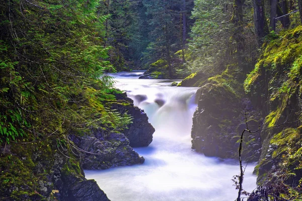 Detalhe Little Qualicum Falls Destino Popular Vancouver Island Canada — Fotografia de Stock