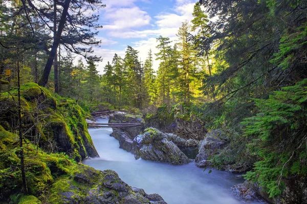 Longa Exposição Tiro Little Qualicum Falls Destino Popular Ilha Vancouver — Fotografia de Stock