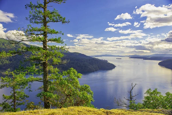 Vista Panorâmica Das Árvores Oceano Litoral Maple Bay Ilha Vancouver — Fotografia de Stock