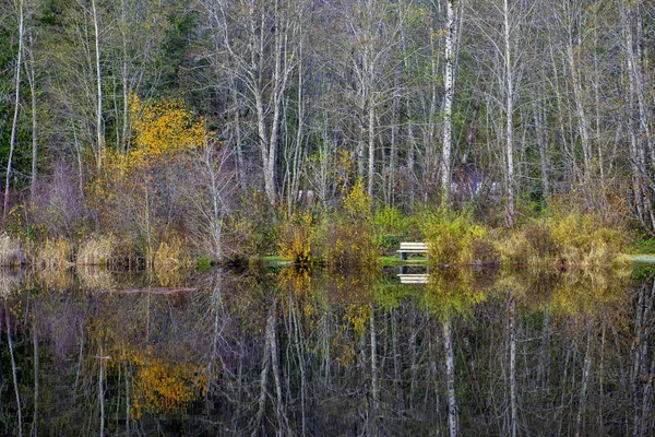 Fall Colors Full Display Lake Cowichan Vancouver Island Canada — Stock Photo, Image