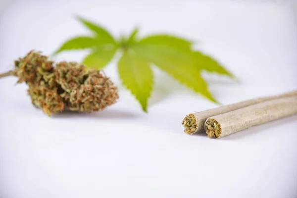 Détail Des Feuilles Cannabis Des Pépins Des Joints Pré Roulés — Photo