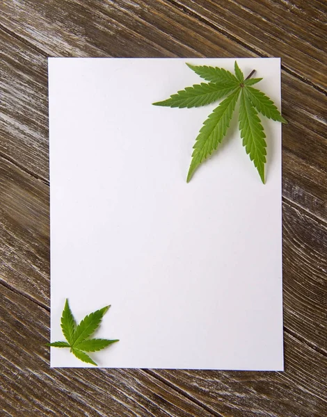 在空白白纸查出的大麻叶子在木头背景 大麻卡片概念 — 图库照片