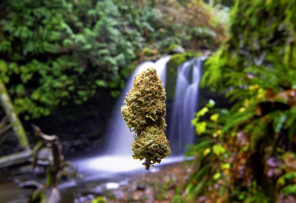 Brote Cannabis Flotando Frente Hermoso Paisaje Con Cascada Tomada Isla — Foto de Stock