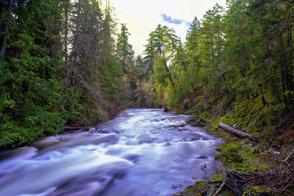 Longa Exposição Vista Água Fluindo Little Qualicum Falls Vancouver Island — Fotografia de Stock
