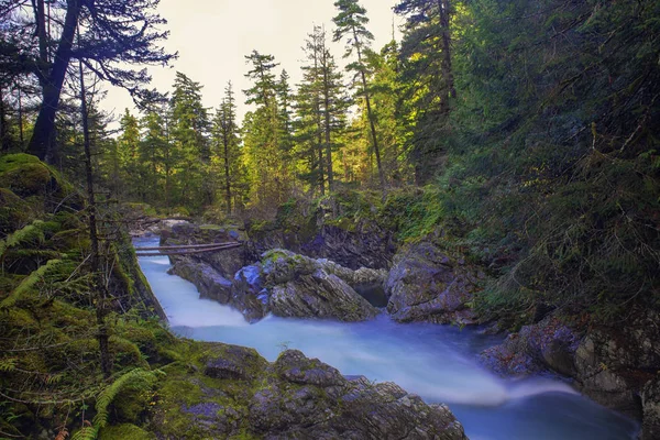 Küçük Qualicum Düşüyor Vancouver Adası Kanada Üzerinde Akan Görünümünü Uzun — Stok fotoğraf