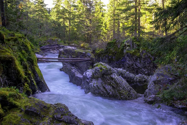 Longa Exposição Vista Água Fluindo Little Qualicum Falls Vancouver Island — Fotografia de Stock