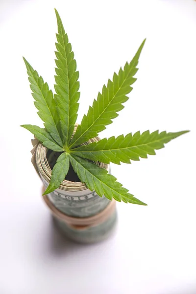 Detail Des Cannabisblattes Mit Gerollten Amerikanischen Dollars Medizinisches Marihuana Börsenkonzept — Stockfoto