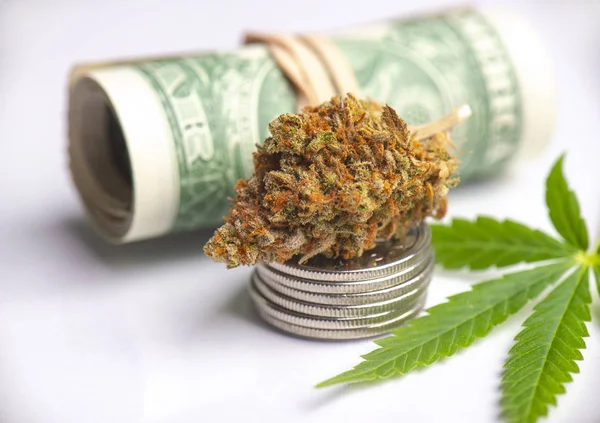 Detail Van Cannabis Nug Blad Met Opgerolde Amerikaanse Dollars Medische — Stockfoto