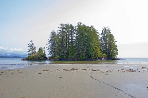 Pulau Kecil Dengan Pohon Pinus Long Beach Tofino Tujuan Populer — Stok Foto