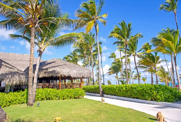 Tropikal Punta Cana, Dominik Cumhuriyeti popüler bir turizm beldesinde görünümünü