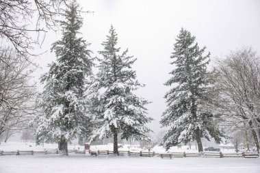 Transfer Beach park Ladysmith kış fırtına sırasında görünümünü, 