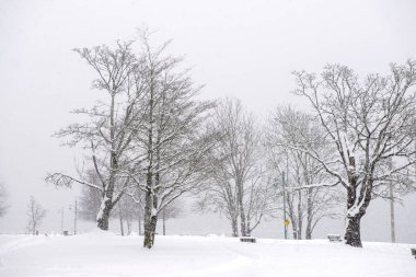 Transfer Beach park Ladysmith kış fırtına sırasında görünümünü, 
