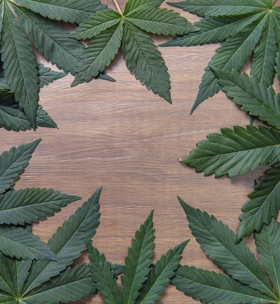 Cadre de feuilles de cannabis avec copyspace sur fond bois — Photo