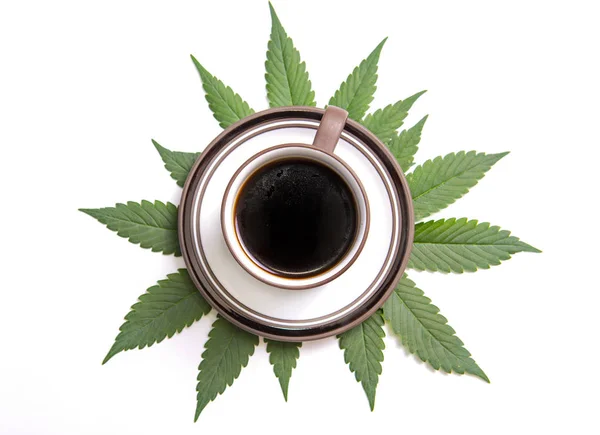 Cannabis xícara de café com folhas de maconha isoladas sobre branco — Fotografia de Stock