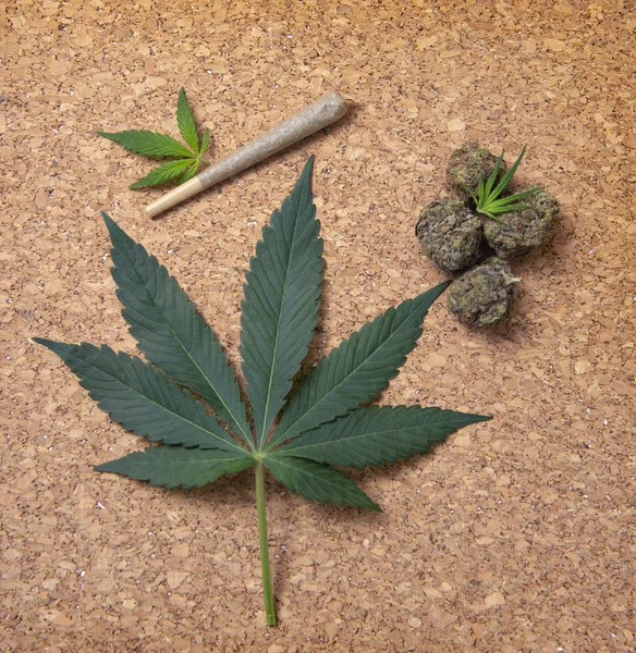 Nugs de cannabis secas, articulações e folhas sobre fundo marrom — Fotografia de Stock