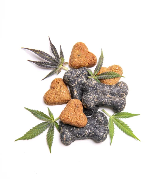 Psí Dárky Cannabis Listí Izolované Bílém Pozadí Cbd Lékařská Marihuana — Stock fotografie
