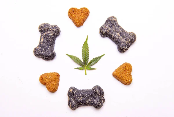 Hundgodis Och Cannabis Lämnar Isolerade Över Vit Bakgrund Cbd Och — Stockfoto