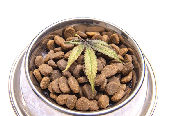 犬のお菓子や大麻の葉は 白い背景の上に隔離 ペットの概念のためのCbdと医療マリファナ — ストック写真