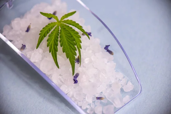 Cannabis inweken zouten met blad, marihuana wellness producten — Stockfoto