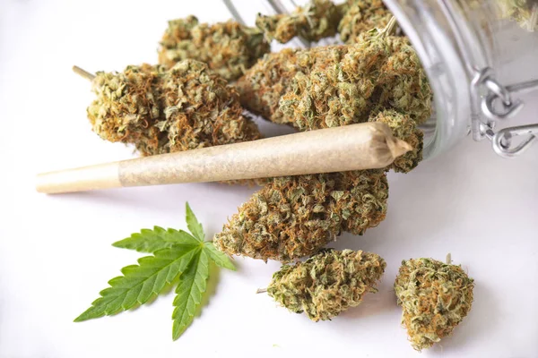 Cannabis-Knospen und Joint auf klarem Glas isoliert auf weiß — Stockfoto