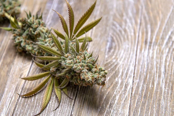 Fleur de cannabis avec feuilles et tricomes visibles sur fond de bois — Photo