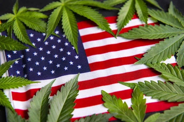 Detail van cannabis bladeren framing de Amerikaanse vlag — Stockfoto
