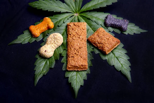 CBD Dog trata e folhas de cannabis isoladas sobre preto — Fotografia de Stock