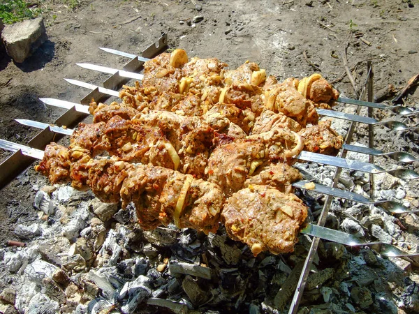 Seis Espetos Com Carne São Fritos Fogo Floresta — Fotografia de Stock