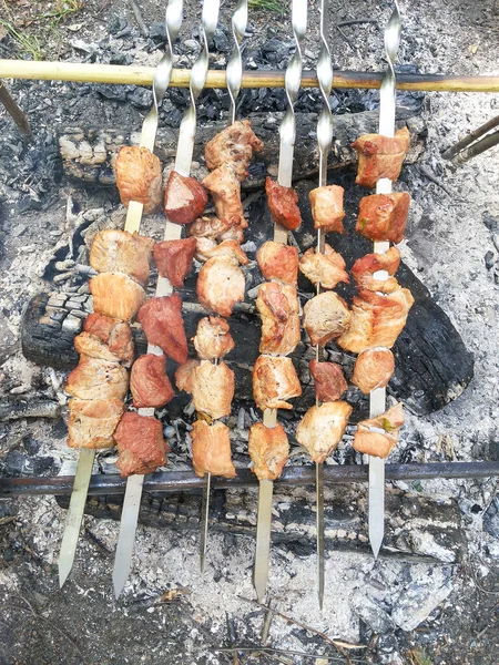 Seis Espetos Com Carne São Fritos Fogo Floresta — Fotografia de Stock