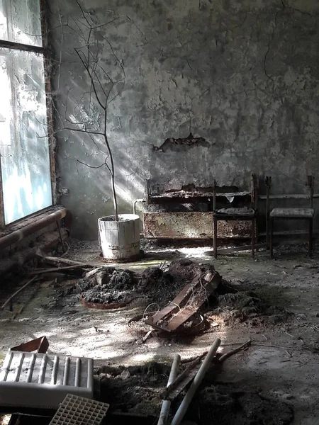 Quarto Abandonado Num Edifício Arruinado Com Objectos Enferrujados Uma Árvore — Fotografia de Stock