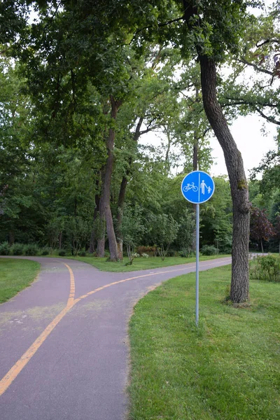 An empty path in a summer park for bicycles and pedestrians, which forks in different directions