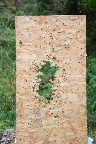Floresta Livre Uma Placa Madeira Tiro Buracos Bala — Fotografia de Stock