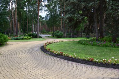 Parkın yaz yolu, kaldırım levhalarıyla kaplı. Kenarlarında çiçekler ve çalılar büyür.
