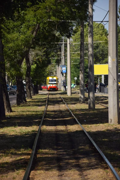 レールに向かって木やコンクリートの柱の街の路地に沿ってトラムがあります — ストック写真