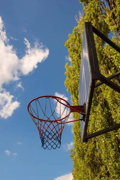 Basketbol Sepeti Sepet Bulutlu Ağaçlı Mavi Gökyüzüne Karşı Kalkanın Altından — Stok fotoğraf