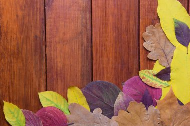 Çok renkli sonbahar yaprakları ahşap kahverengi arka planda yatar. Ortada bir yazı için bir yer var..