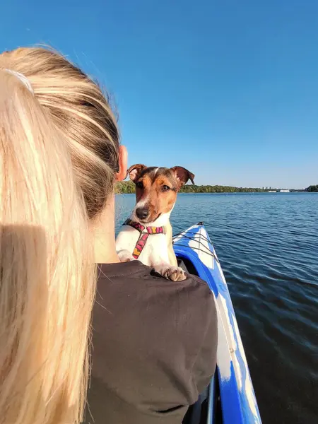 A young woman is sailing in a boat with a Jack Russell dog on her shoulder. Active recreation with a pet on the river