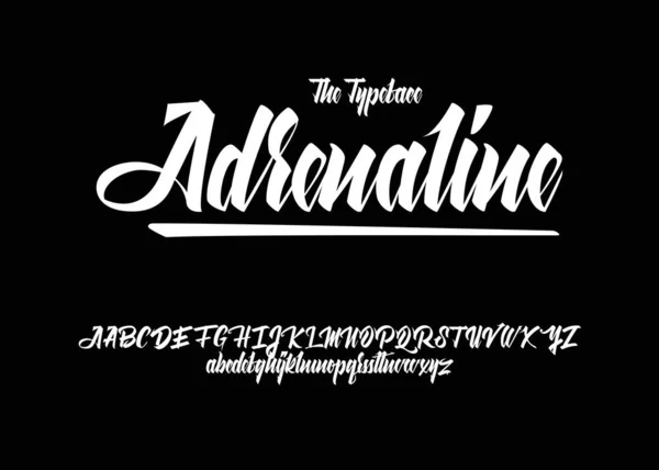Handgeschriebene Schrift Vektorschrift Alphabet Kalligrafische Schrift — Stockvektor