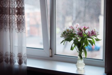Pencere kenarında Alstroemeria çiçekleri
