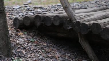 Eski ahşap bir köprü. Yuvarlak gri kütüklerden yapılmış. Yakın plan.