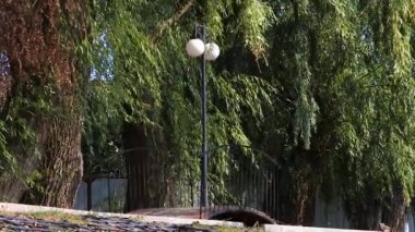 Büyük yeşil ağaçların arka planında yuvarlak lambaları olan antika bir fenerle güzel kıvrımlı bir köprü.