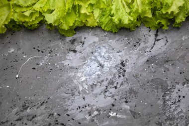 Gri beton arka planda taze marul yaprakları.