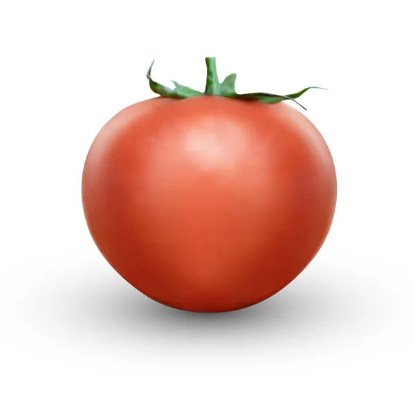 Realistische Tomate Auf Weißem Hintergrund Realistische Frische Saftige Tomate Mit — Stockvektor