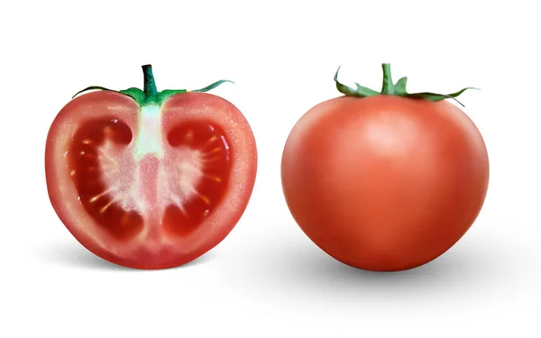 Realista Tomate Fatia Isolada Fundo Branco Tomate Suculento Fresco Realista —  Vetores de Stock