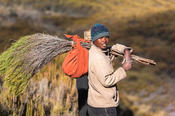 African man carries wood dry season — Stock Photo, Image