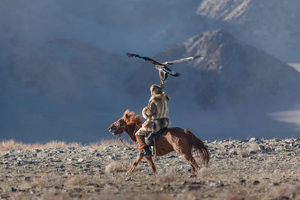 Chasse au berkut kazakh — Photo