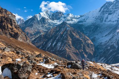 Nepal Himalayaları 'nda gezinti. Annapurna ana kampı