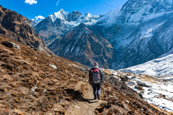 Trekking Nepal Himalayas Annapurna Base Camp — Stock Photo, Image