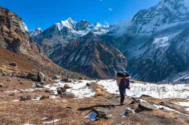 Annapurna Sanctuary, Nepal : Porter carry heavy basket in beautiful mountain landscape Himalayas 